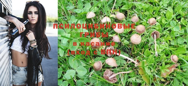а пвп мука Каменногорск