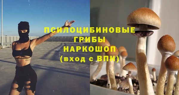 а пвп мука Каменногорск