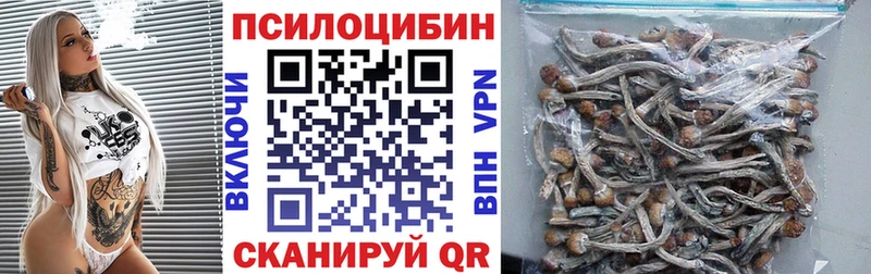 Галлюциногенные грибы Cubensis  Купить где  Новое Девяткино 